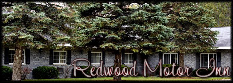 Welcome to the Redwood Motor Inn!